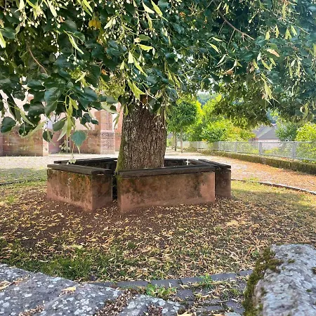 Alte Schule 3 Apartamento