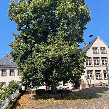 Alte Schule 3 Apartment Malberg